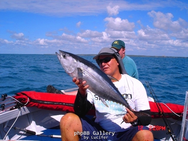 Late season Longtail