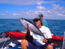 Late season Longtail