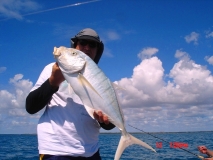 Skinny Water Golden