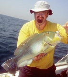 Perons Tusk Fish