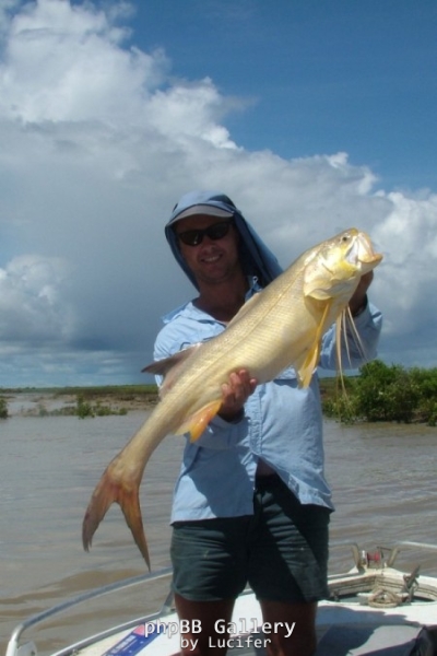 South Alligator Salmon
