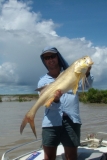 South Alligator Salmon