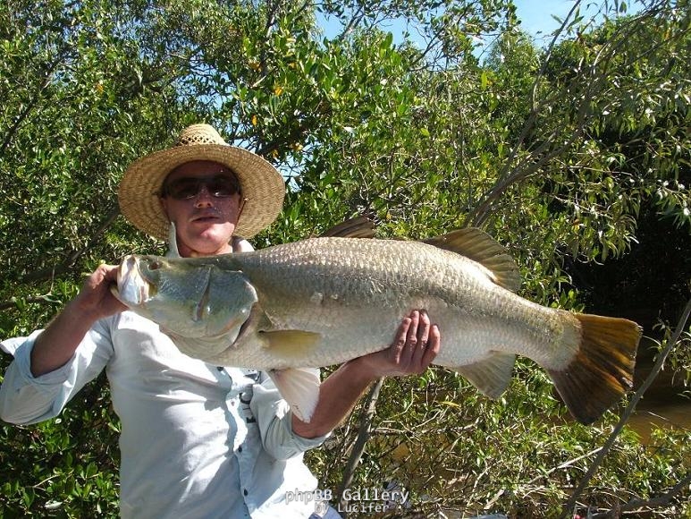 96cm swim creek barra