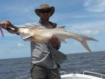 Sampan salmon