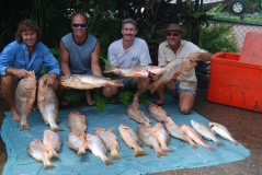 Bathurst Goldies