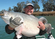 Big Cod Big Barra