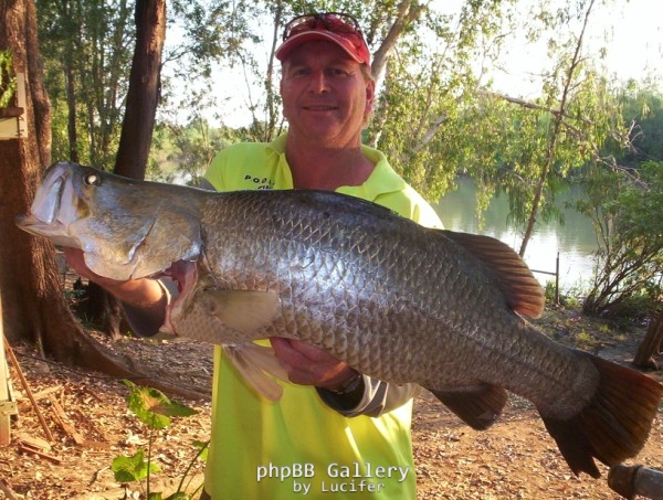Winning Fish for 2008 In & Outboard Goat Island Comp