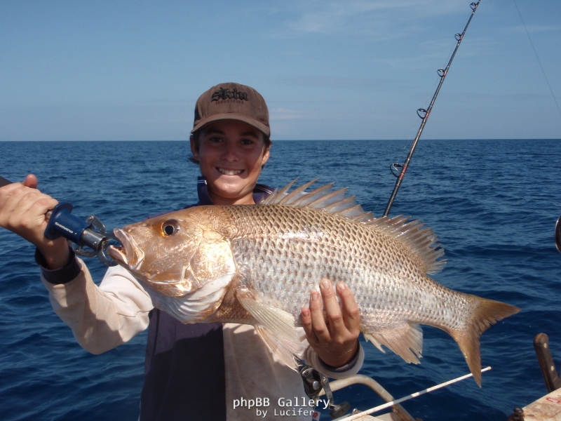 65cm goldie from wide of dunndee