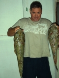 Broome Flathead