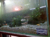 Signs of Illegal Indoor Fishing
