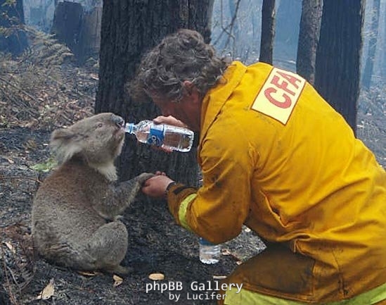 CFA to the rescue (Southern version)