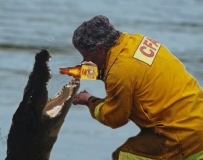 CFA to the rescue (Northern version)