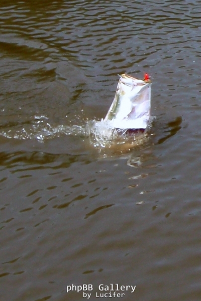 Finniss Runoff (April 2009)