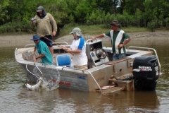 Finniss Runoff (April 2009)