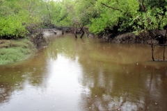 Finniss Runoff (April 2009)