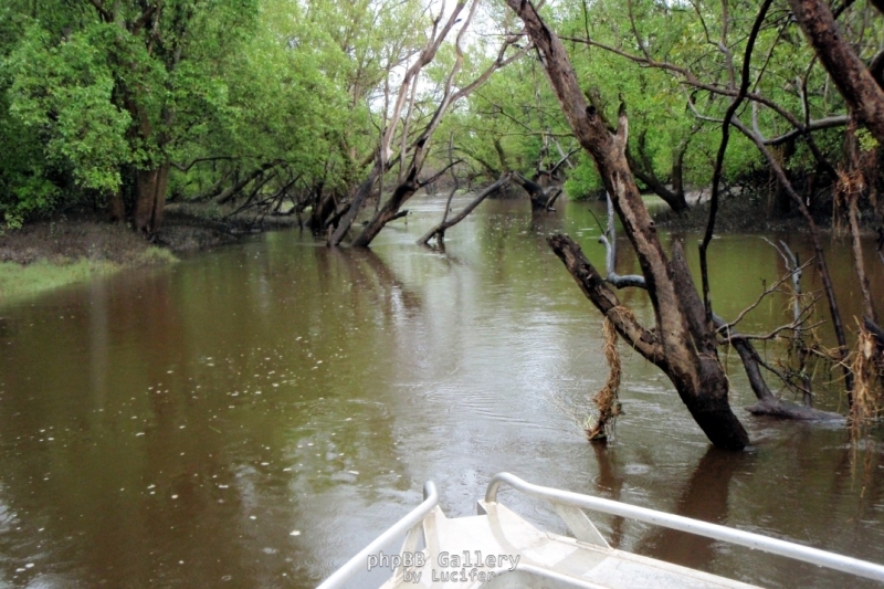 Finniss Runoff (April 2009)