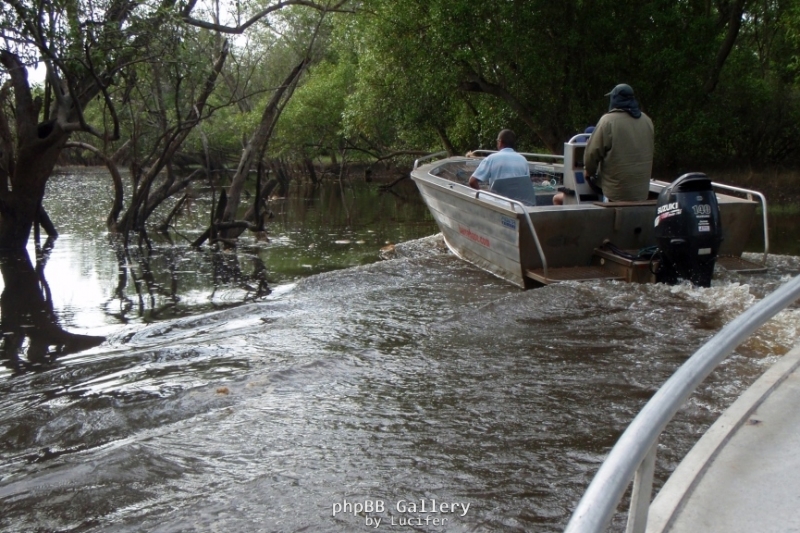Finniss Runoff (April 2009)