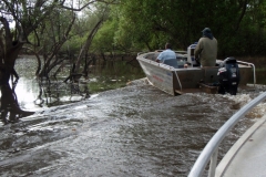 Finniss Runoff (April 2009)