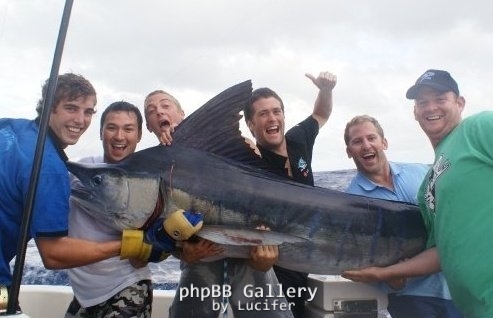 Striped Marlin around 120kg's