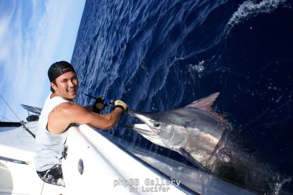 Black Marlin