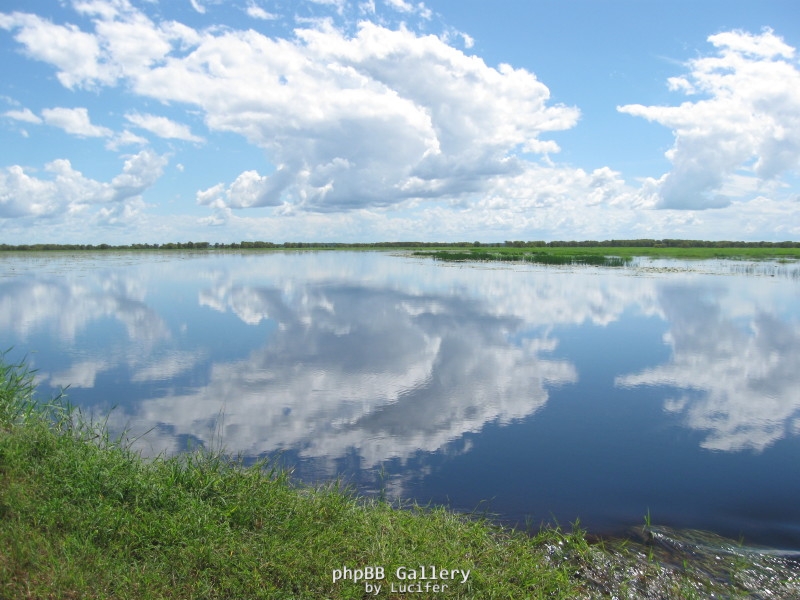 Outlook over the Wetlands