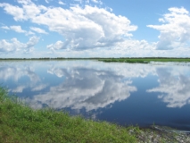 Outlook over the Wetlands
