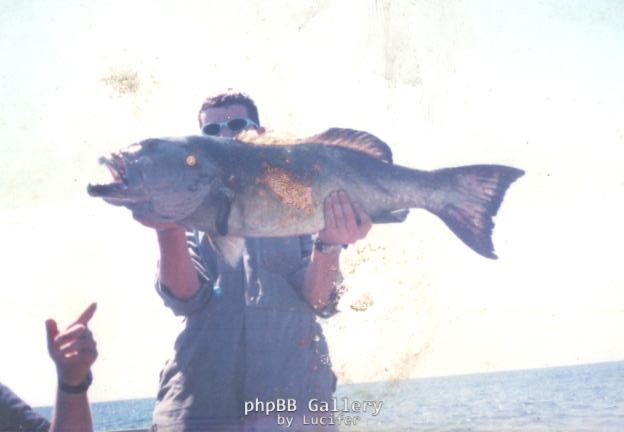 monster trout