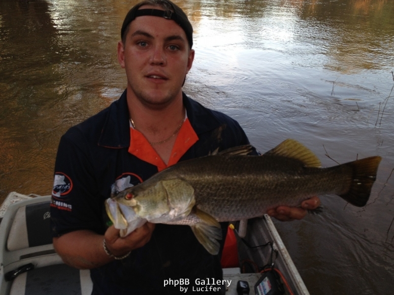 barra at daly and south alligator culbvert last wet