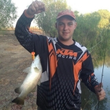 hardiesbarra