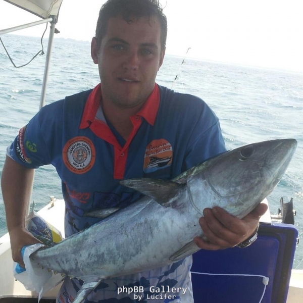 tuna
