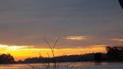 monduran pic