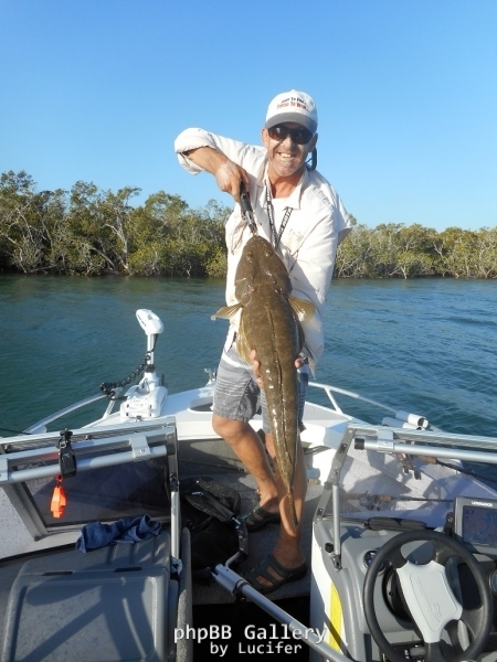 91cm flatty mary river