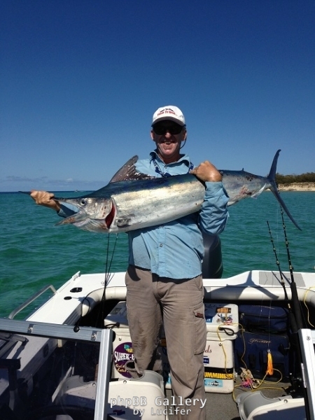 fraser island marlin