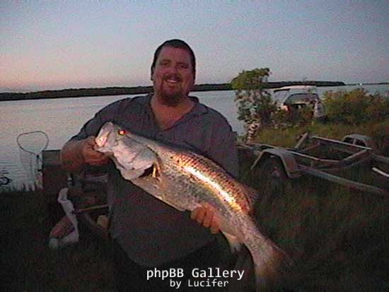 roper river barra