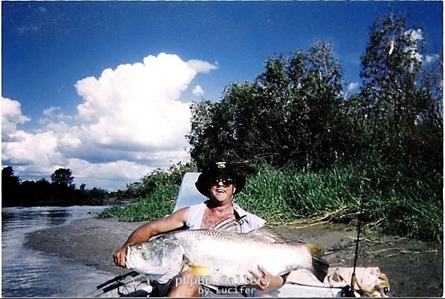 130 cm big barra