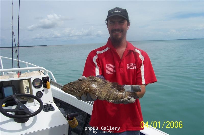 mouth of the south allagator cod