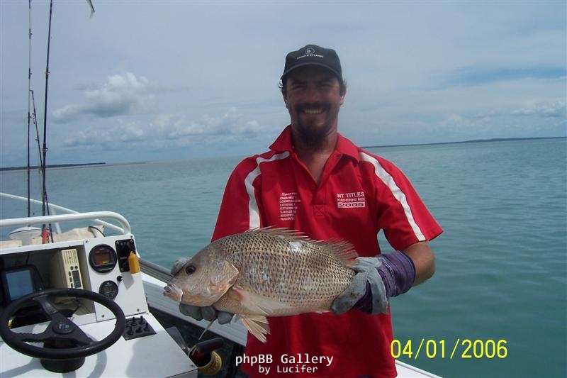 south allagator fishing