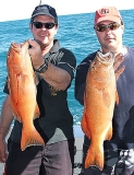 Territory trout caught with Arafura Blue