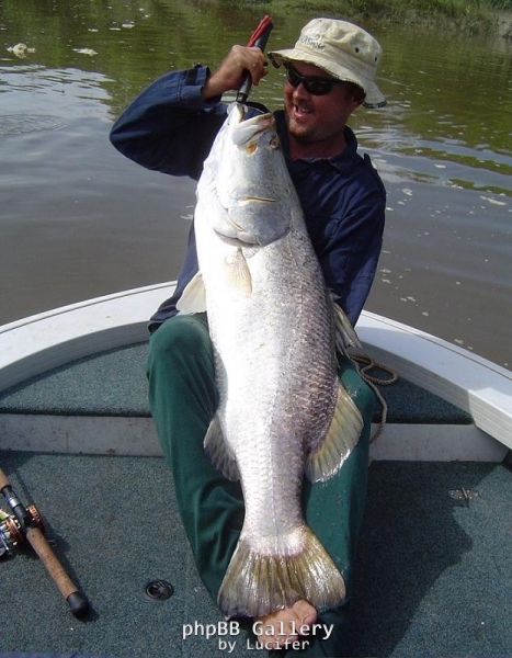 110cm East Alligator Barra
