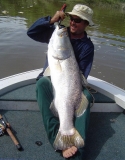 110cm East Alligator Barra