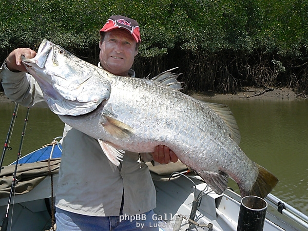 112cm harbour barra