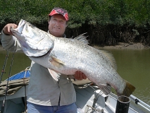 112cm harbour barra
