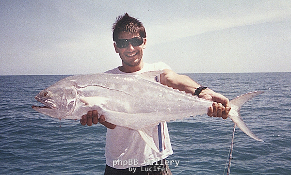 Harbour queenfish