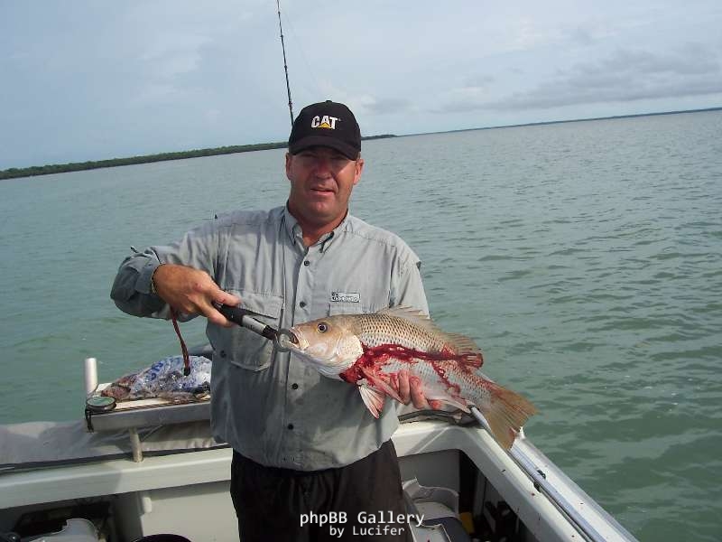 shane doevy with goldie