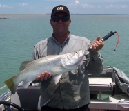 south allagator barra