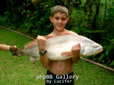 Darwin Harbour Jew