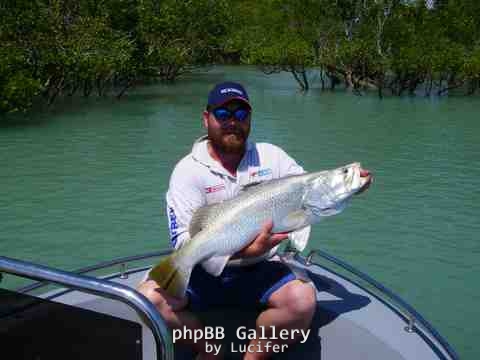 south alligator barra