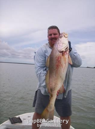 adelaide river jewie
