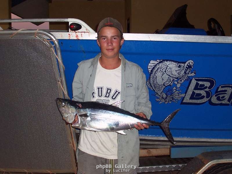 long tail tuna