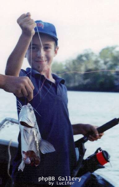 half a catfish